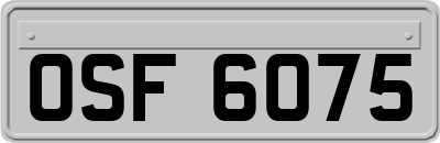 OSF6075