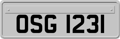 OSG1231