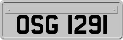 OSG1291