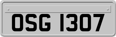 OSG1307
