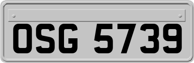 OSG5739