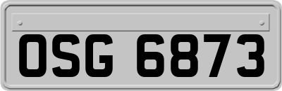 OSG6873