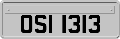 OSI1313
