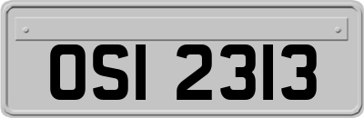OSI2313