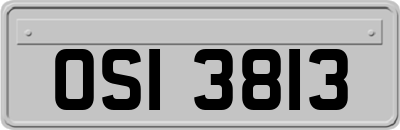 OSI3813