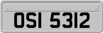 OSI5312
