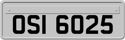 OSI6025
