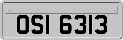 OSI6313