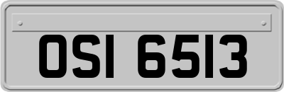 OSI6513