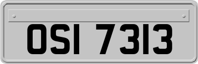 OSI7313