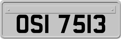 OSI7513
