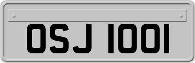 OSJ1001