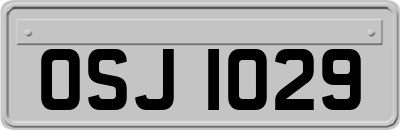 OSJ1029