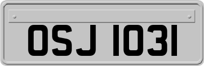 OSJ1031