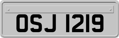 OSJ1219