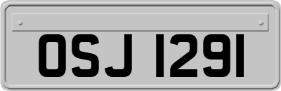 OSJ1291