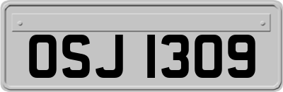 OSJ1309