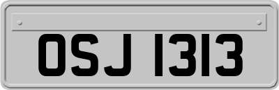 OSJ1313