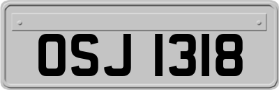 OSJ1318