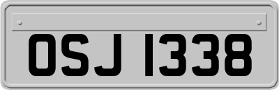OSJ1338