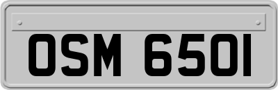 OSM6501