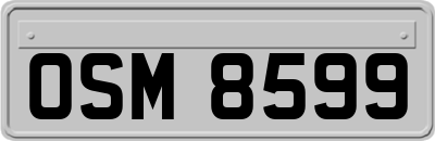 OSM8599