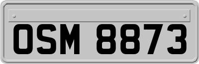 OSM8873