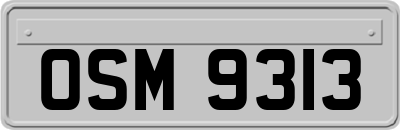 OSM9313