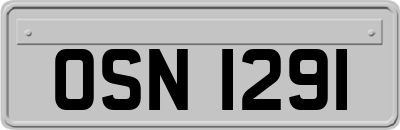 OSN1291