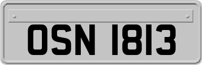 OSN1813