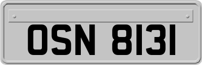 OSN8131