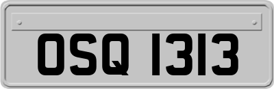 OSQ1313