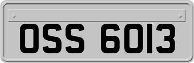 OSS6013