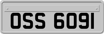 OSS6091