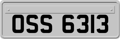 OSS6313