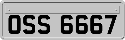 OSS6667
