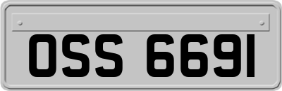 OSS6691