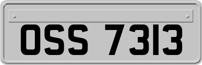 OSS7313