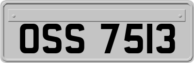 OSS7513