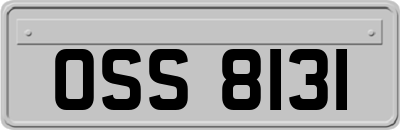 OSS8131