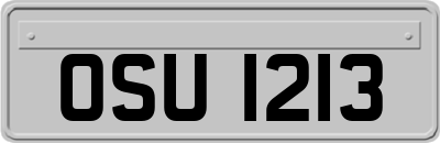OSU1213
