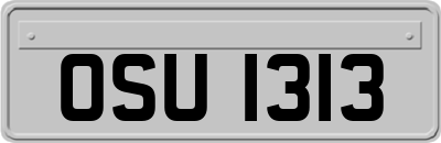OSU1313