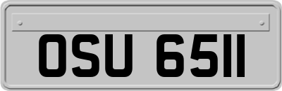 OSU6511