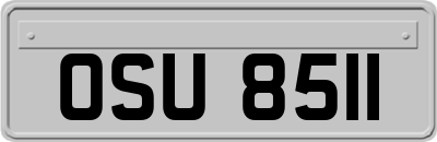 OSU8511