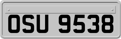 OSU9538