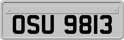 OSU9813