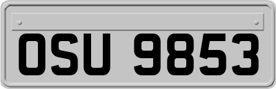 OSU9853