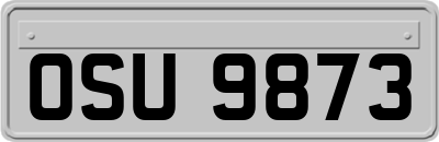OSU9873