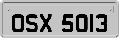 OSX5013
