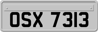 OSX7313